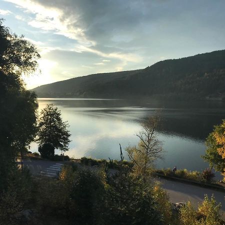 Le Duplex Appartement Gérardmer Buitenkant foto