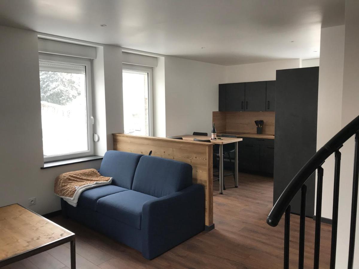 Le Duplex Appartement Gérardmer Buitenkant foto
